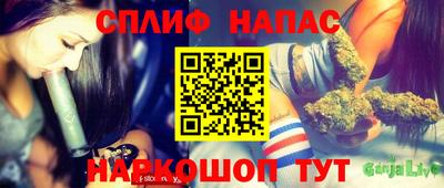 дживик Бийск