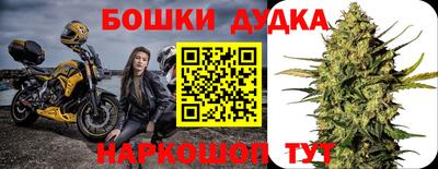 дживик Бийск