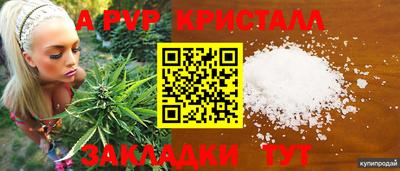 гидра Беслан