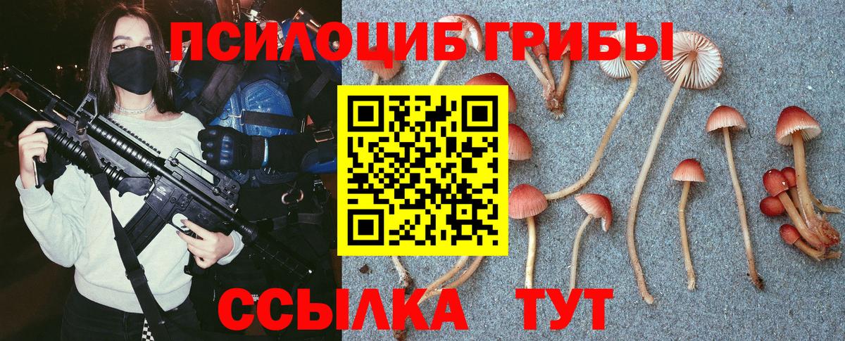 Псилоцибиновые грибы Cubensis  Вход с VPN  Зерноград 