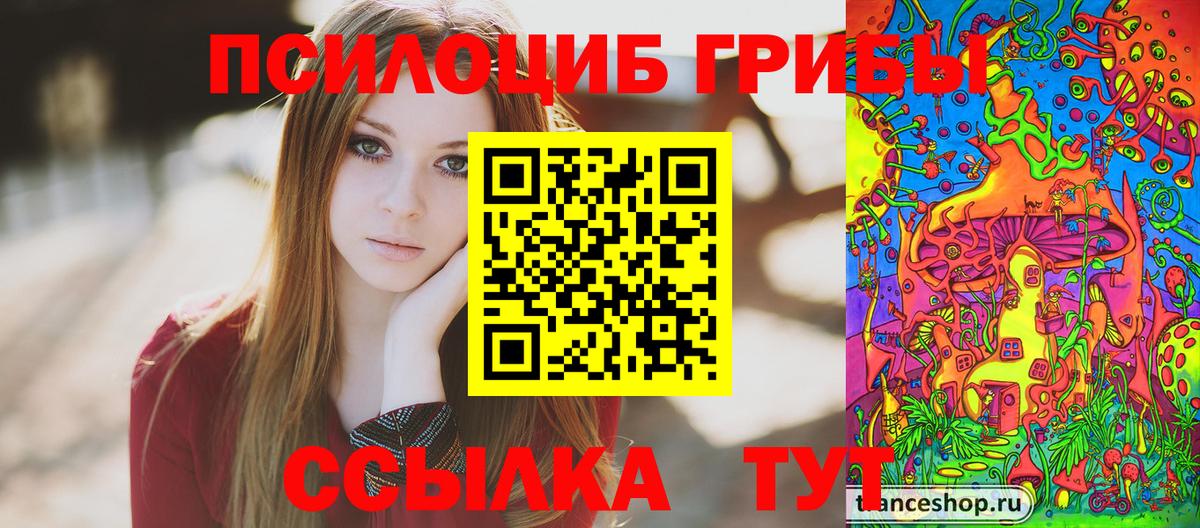 Альфа ПВП Зерноград