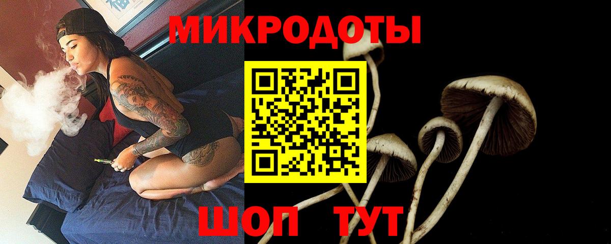 Галлюциногенные грибы Cubensis Зерноград